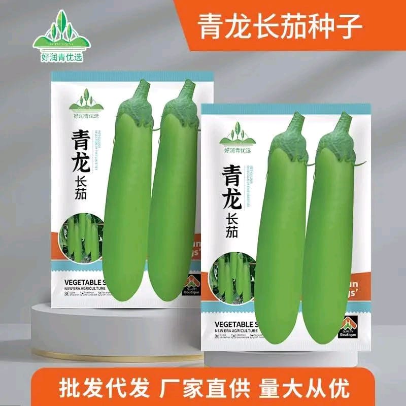 সবুজ বেগুন, Green Eggplant